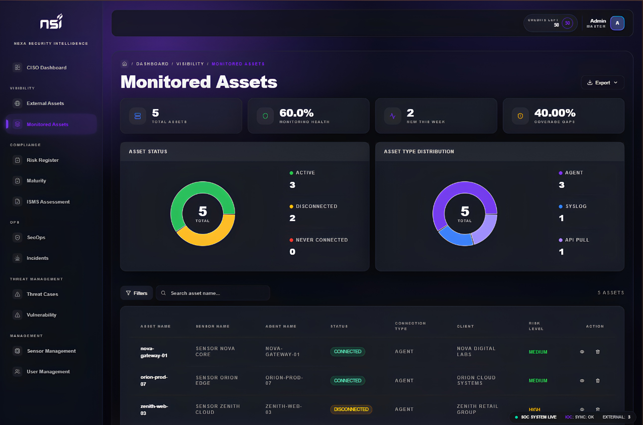 NSI Monitored Assets dashboard